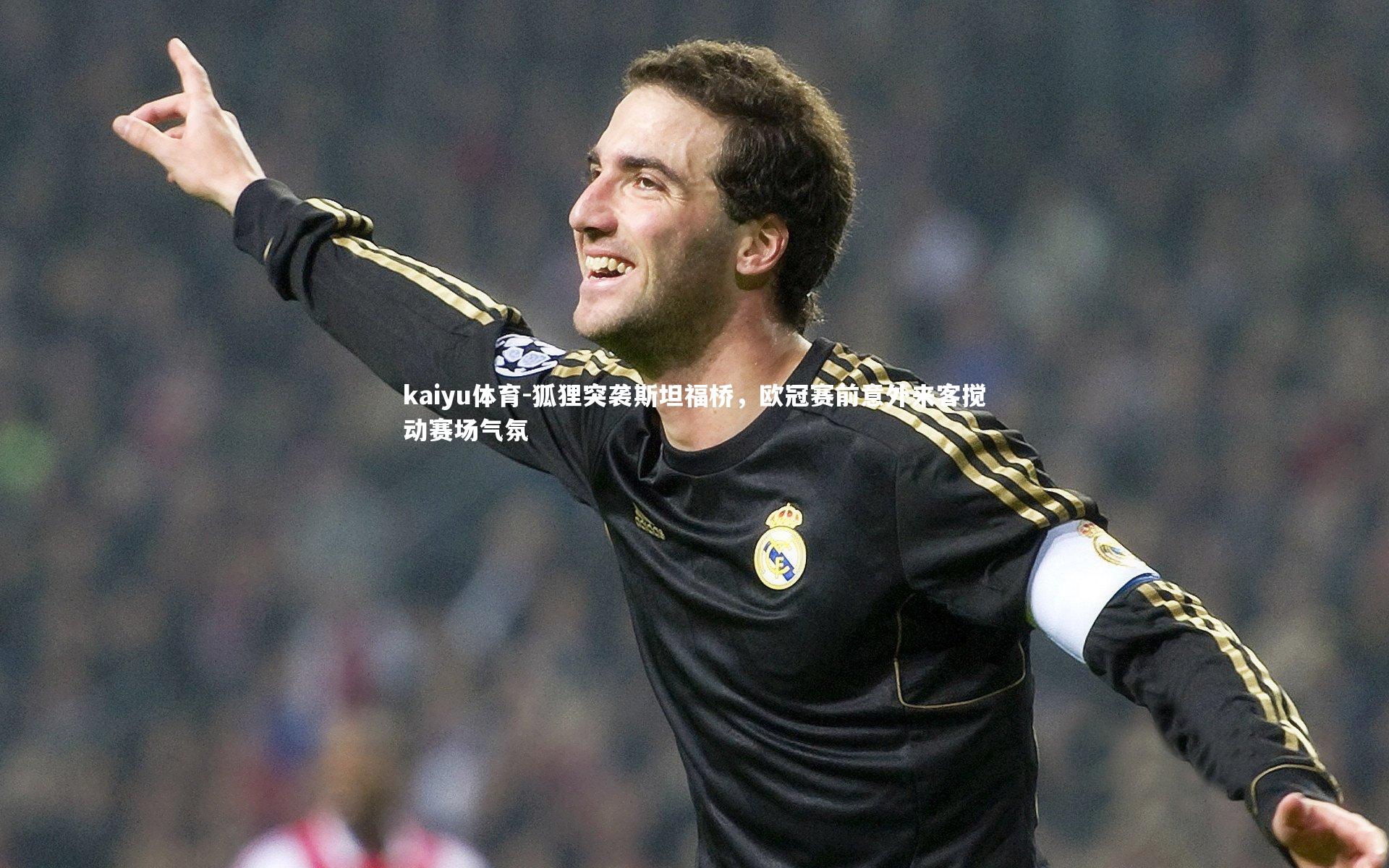 狐狸突袭斯坦福桥,欧冠赛前意外来客搅动赛场气氛